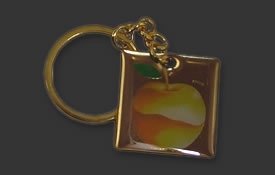 Key ring with custom sticker insert