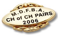 Scroll Brooch Badge - SB4